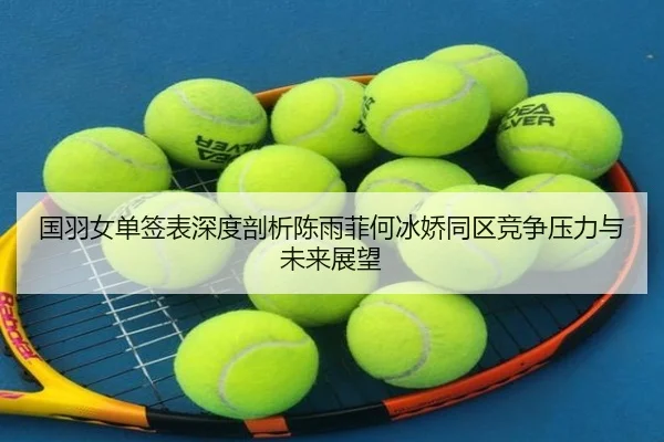 国羽女单签表深度剖析陈雨菲何冰娇同区竞争压力与未来展望